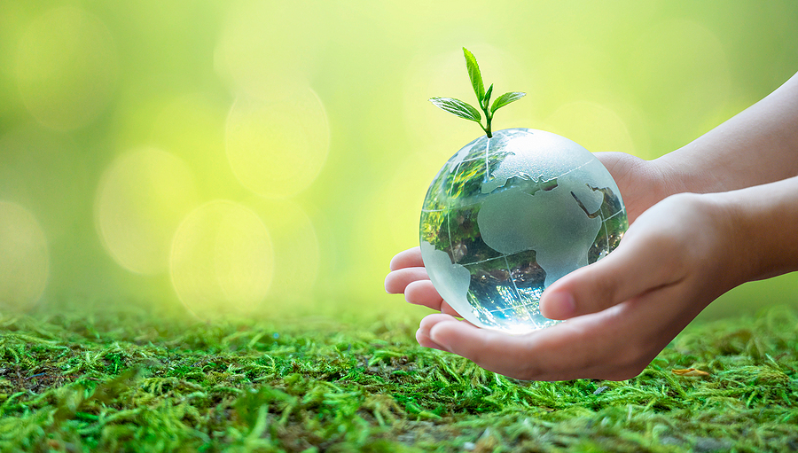 Concept earth day save the world save environment The world is in the grass of the green bokeh background